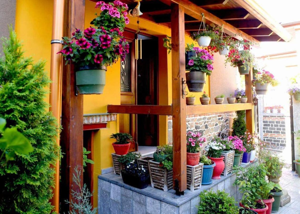 Hotel Bujtina Bicolli Korce Exterior foto